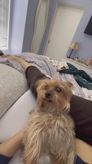 Lindsey Shaw feet photo thumbnail
