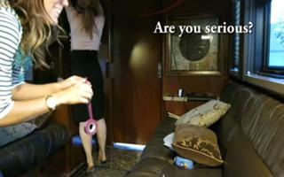 Lindsey Stirling feet photo thumbnail