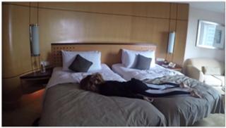 Lindsey Stirling feet photo thumbnail