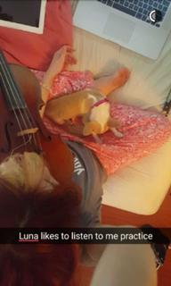 Lindsey Stirling feet photo thumbnail