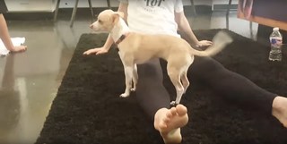 Lindsey Stirling feet photo thumbnail