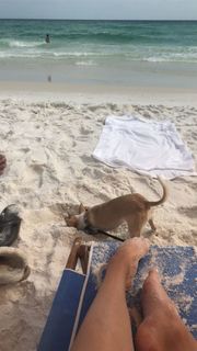 Lindsey Stirling feet photo thumbnail