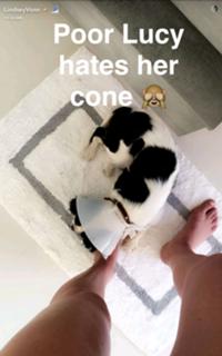 Lindsey Vonn feet photo thumbnail