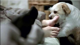 Lio Tipton feet photo thumbnail