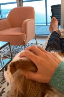 Lisa Boothe feet photo thumbnail