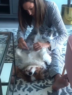 Lisa Boothe feet photo thumbnail