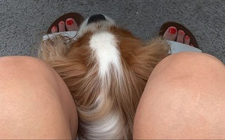 Lisa Boothe feet photo thumbnail