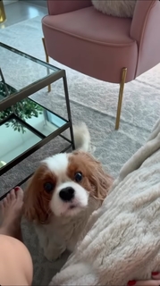 Lisa Boothe feet photo thumbnail