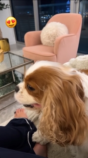 Lisa Boothe feet photo thumbnail