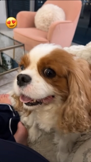 Lisa Boothe feet photo thumbnail