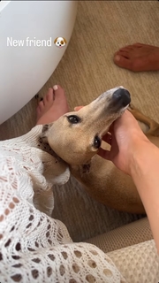 Lisa Boothe feet photo thumbnail