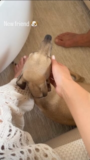 Lisa Boothe feet photo thumbnail