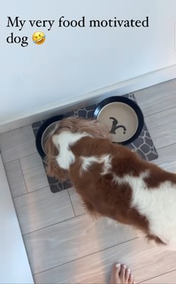 Lisa Boothe feet photo thumbnail