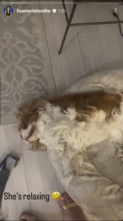 Lisa Boothe feet photo thumbnail