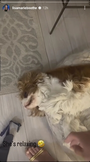 Lisa Boothe feet photo thumbnail