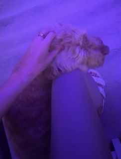 Lisa Boothe feet photo thumbnail