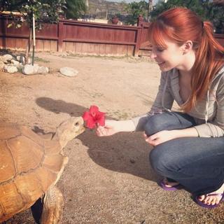 Lisa Foiles feet photo 6