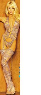 Lisa Gleave feet photo 15