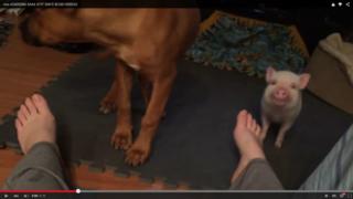Lisa Kelly feet photo 6