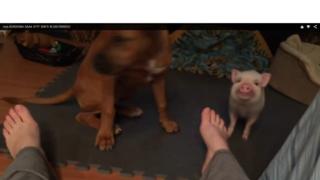 Lisa Kelly feet photo 3