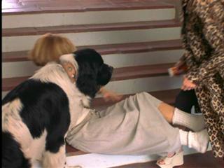 Lisa Kudrow feet photo thumbnail