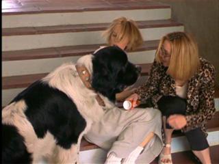 Lisa Kudrow feet photo thumbnail
