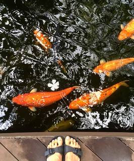 Lisa Ling feet photo thumbnail
