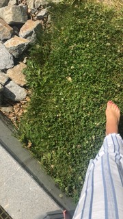 Lisa-Marie Koroll feet photo thumbnail