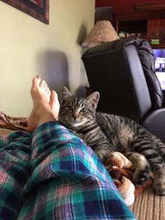 Lisa Marie Varon feet photo thumbnail