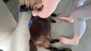 Lisa Peach feet photo thumbnail