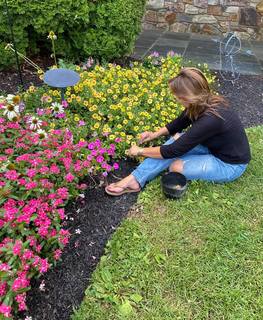Lisa Robertson feet photo thumbnail
