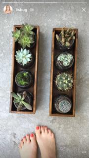 Lisa Schwartz feet photo thumbnail