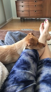 Lisa Schwartz feet photo thumbnail