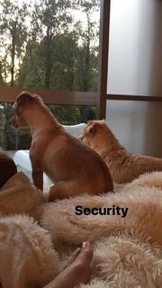 Lisa Schwartz feet photo thumbnail