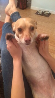 Lisa Schwartz feet photo thumbnail