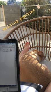 Lisa Schwartz feet photo thumbnail