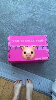 Lisa Schwartz feet photo thumbnail