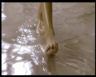 Lisa Stansfield feet photo 19