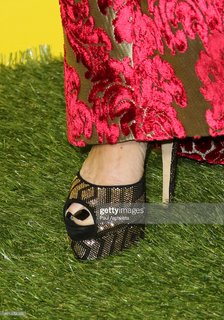 Lisa Vanderpump feet photo 10