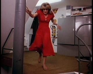 Lisa Whelchel feet photo thumbnail