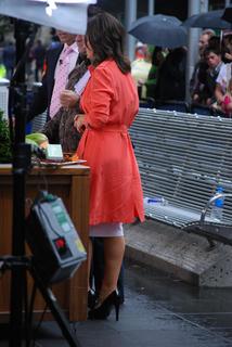 Lisa Wilkinson feet photo 6