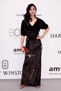 Liu Wen feet photo 11