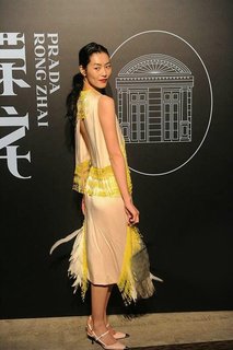 Liu Wen feet photo 17