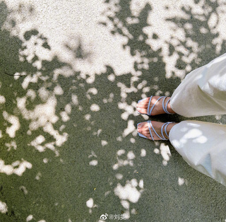 Liu Wen feet photo 20