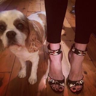Liv Tyler feet photo thumbnail