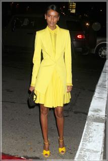 Liya Kebede feet photo 15