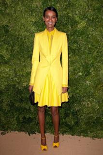Liya Kebede feet photo 12