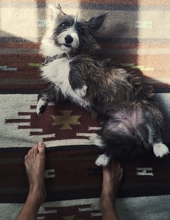 Liz Solari feet photo 19