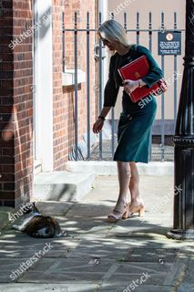 Liz Truss feet photo 6