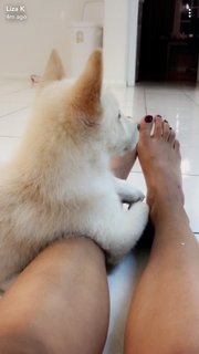 Liza Koshy feet photo thumbnail
